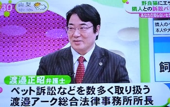 渡邉アーク総合法律事務所&臨床心理士 所長 弁護士渡邉正昭